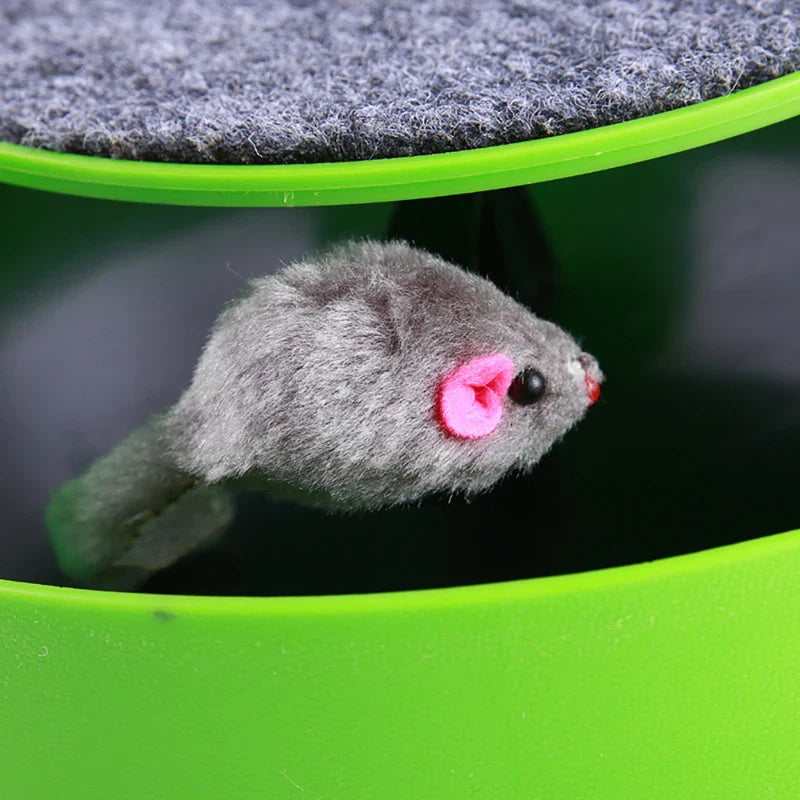 Indoor Catch The Mouse Game For Cats