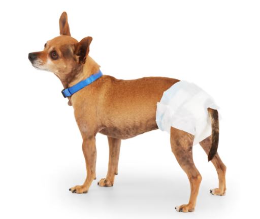 Leak Guard Disposable Pet Diapers, X-Small, Count of 12