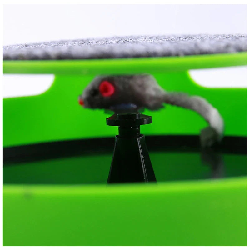 Indoor Catch The Mouse Game For Cats
