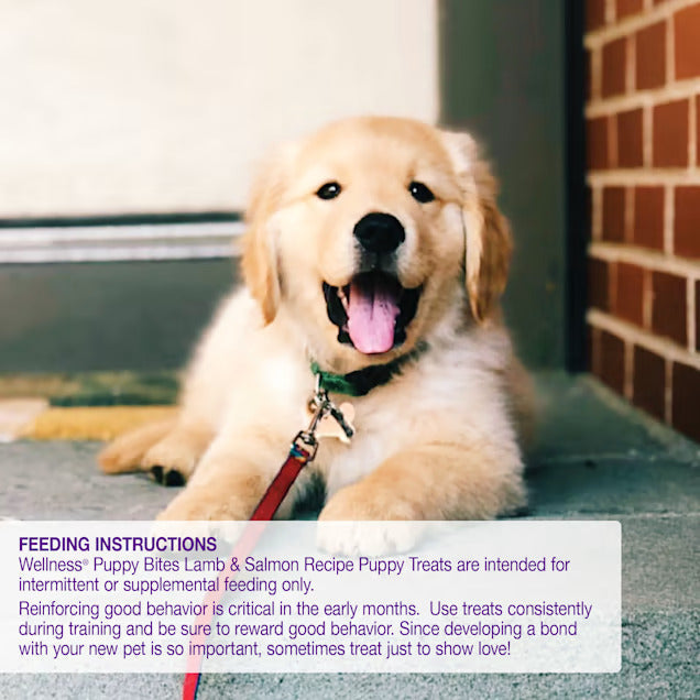 Wellness Complete Health Natural Grain Free Lamb & Salmon Recipe Soft Puppy Bites, 8 oz