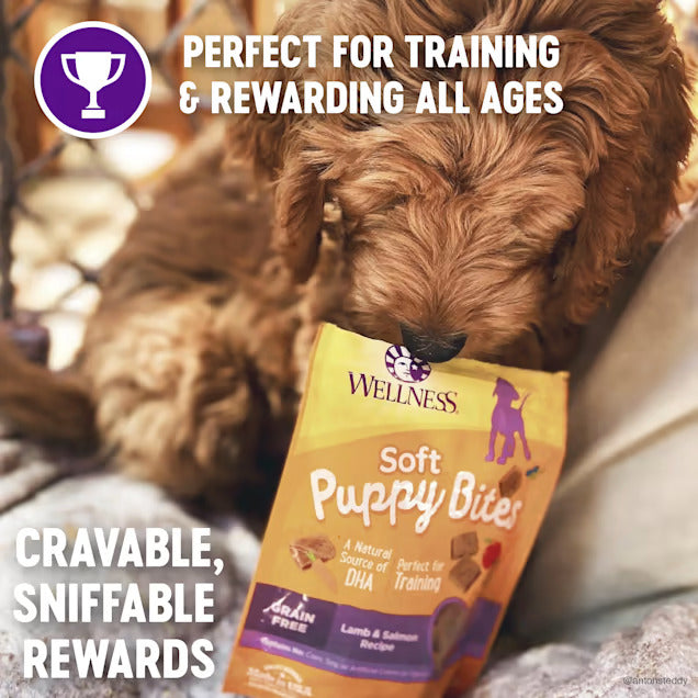 Wellness Complete Health Natural Grain Free Lamb & Salmon Recipe Soft Puppy Bites, 8 oz