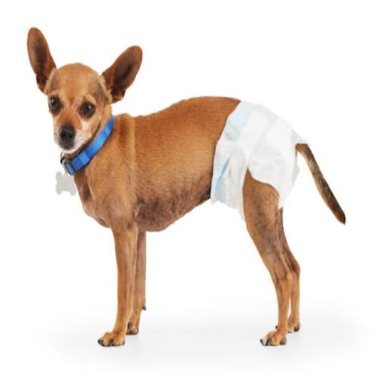 Leak Guard Disposable Pet Diapers, X-Small, Count of 12