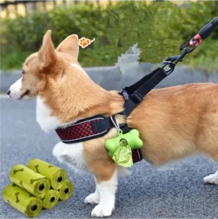 Doggy Poop Bag Dispenser With Comfortable Keychain Belt Collar Clip
