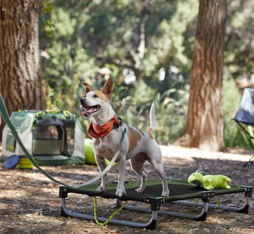 Backcountry x Petco The Travel Cot for Dogs