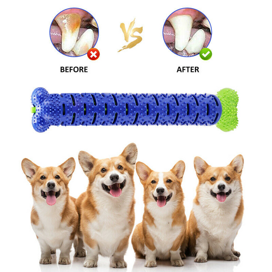 Dog Chew Toys Toothbrush
